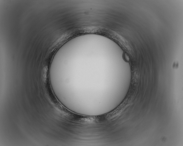 X0000097750118200803281619