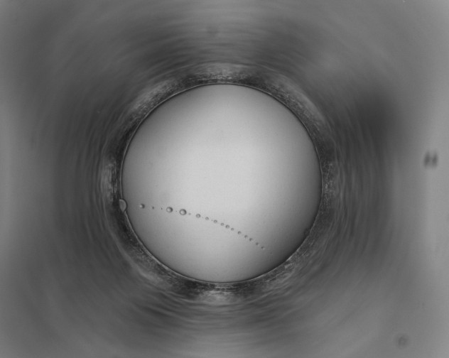 X0000097750119200803281619