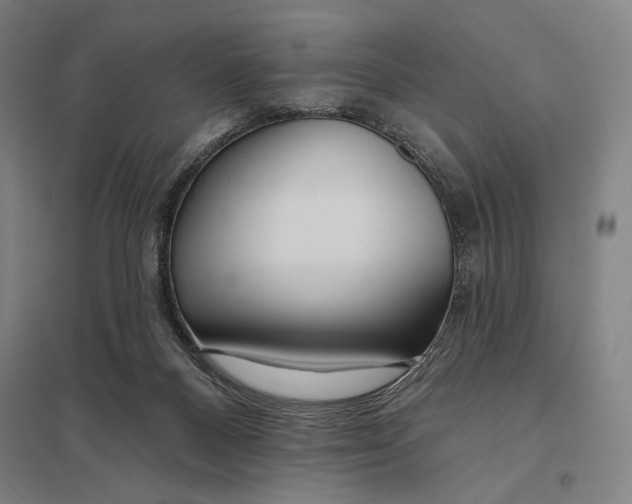 X0000097750120200803281619