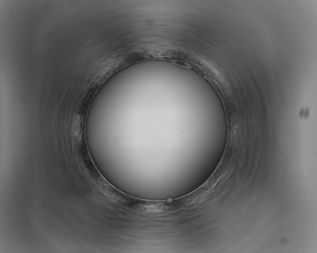 X0000097750121200803281619