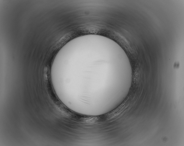 X0000097750122200803281619