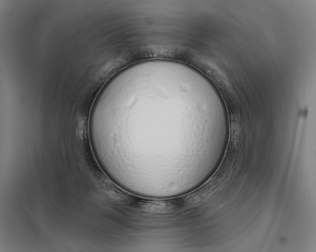 X0000097750123200803281619