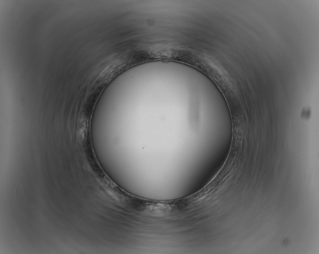 X0000097750125200803281619