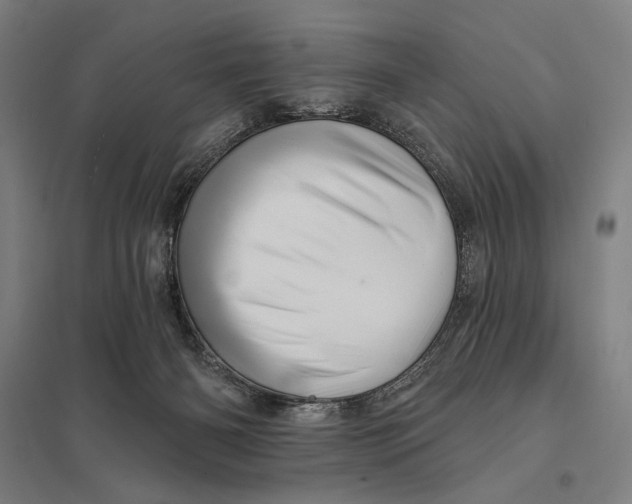 X0000097750126200803281619