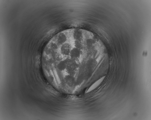 X0000097750127200803281619