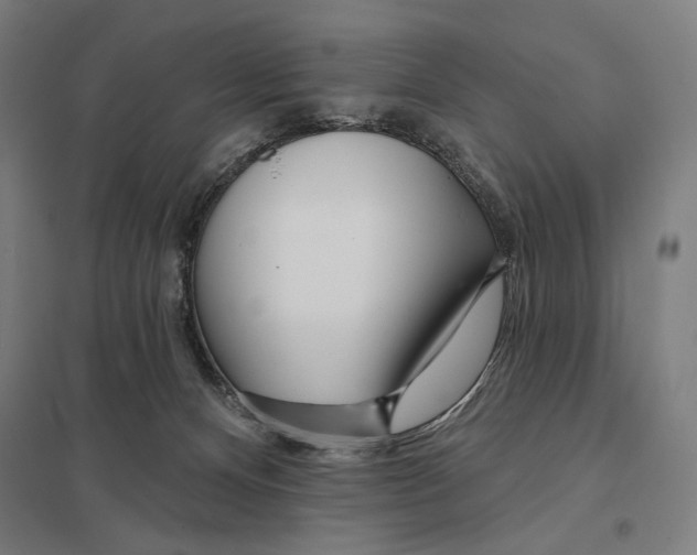 X0000097750128200803281619