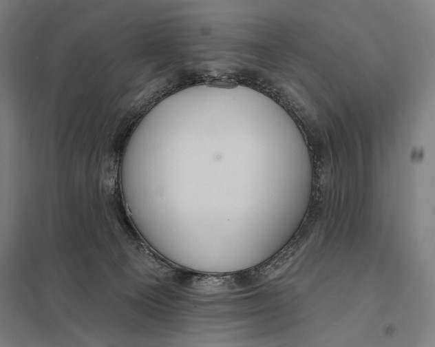 X0000097750129200803281619