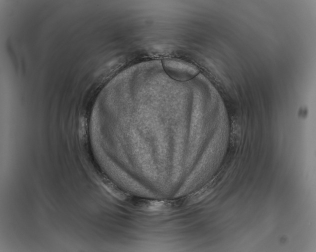 X0000097750130200803281619