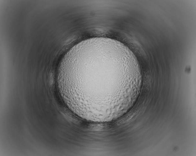 X0000097750131200803281619