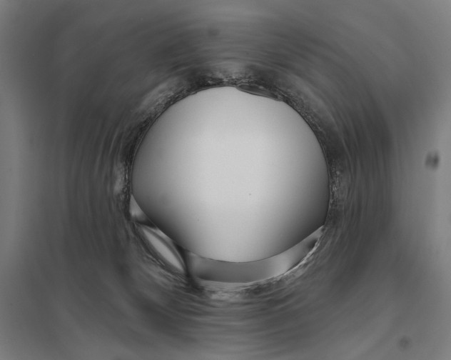 X0000097750132200803281619