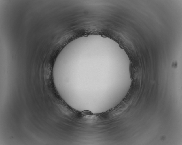 X0000097750133200803281619