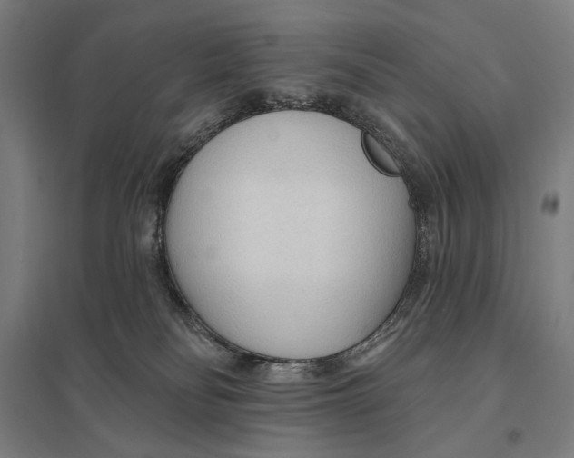 X0000097750134200803281619