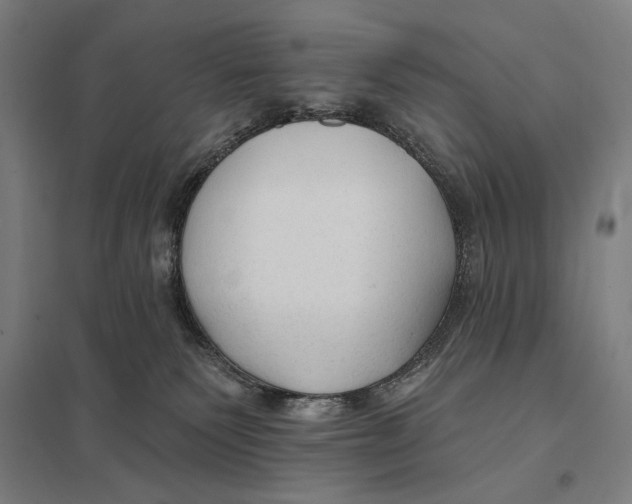 X0000097750135200803281619