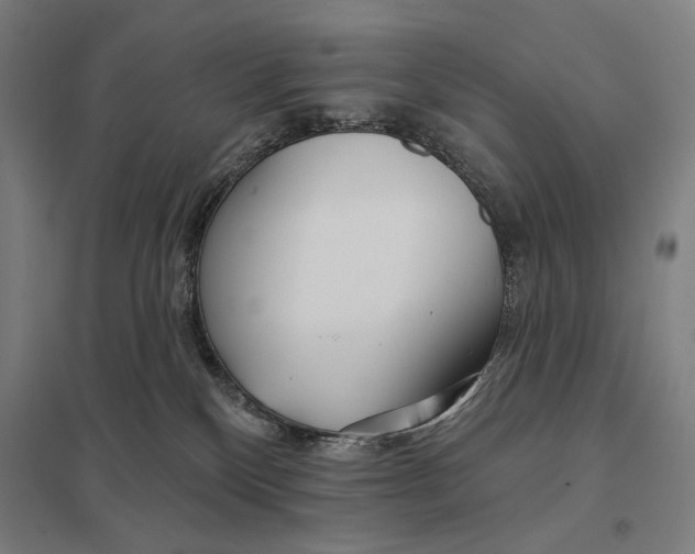 X0000097750136200803281619