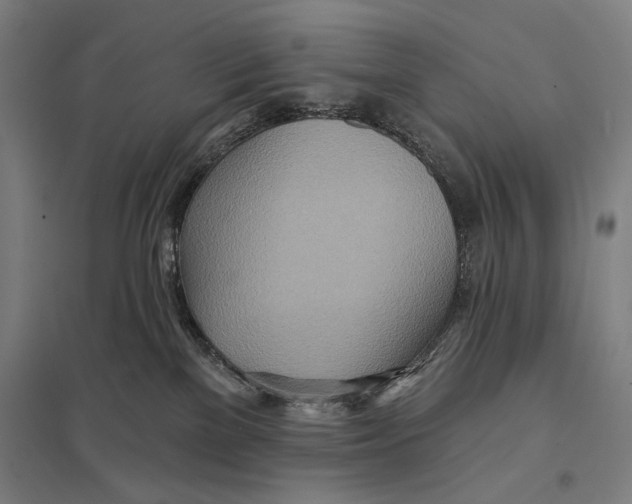 X0000097750137200803281619