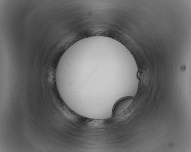 X0000097750138200803281619