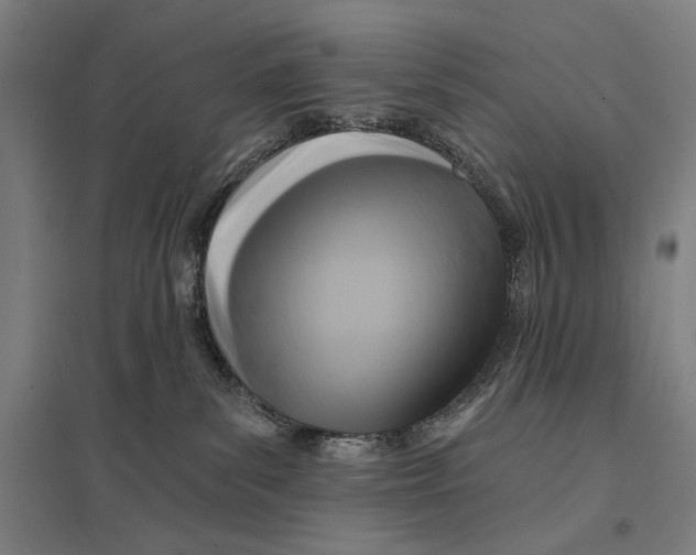 X0000097750139200803281619