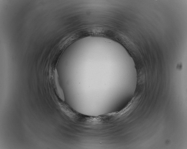 X0000097750140200803281619