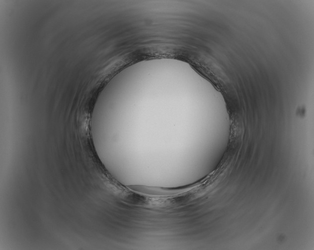 X0000097750141200803281619