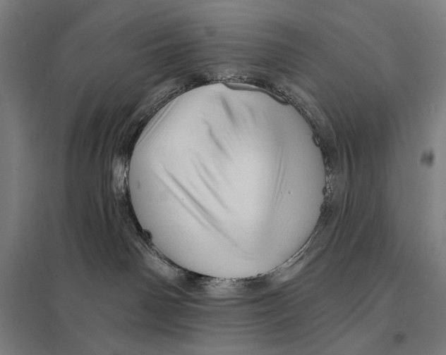 X0000097750142200803281619