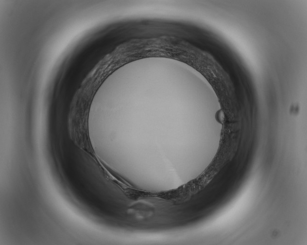 X0000097750143200803281619