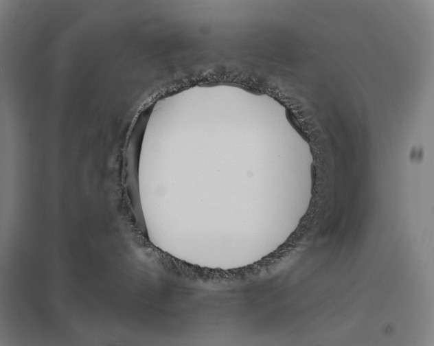 X0000097750144200803281619