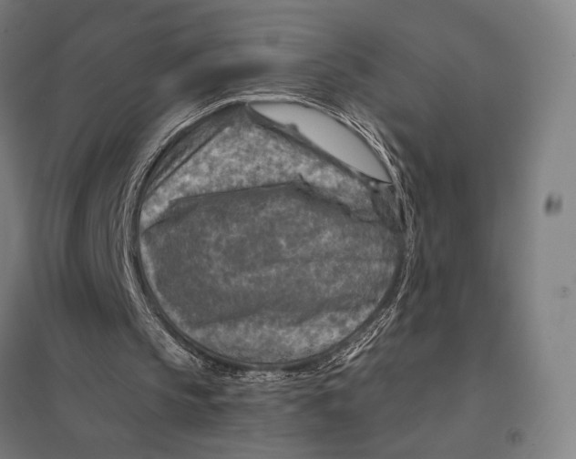 X0000097750145200803281618