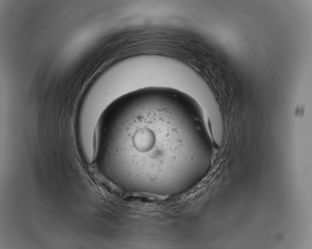 X0000097750146200803281618