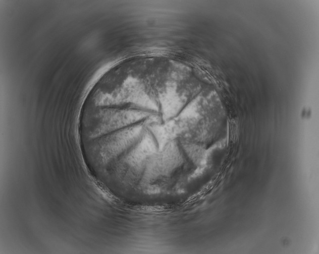 X0000097750147200803281618