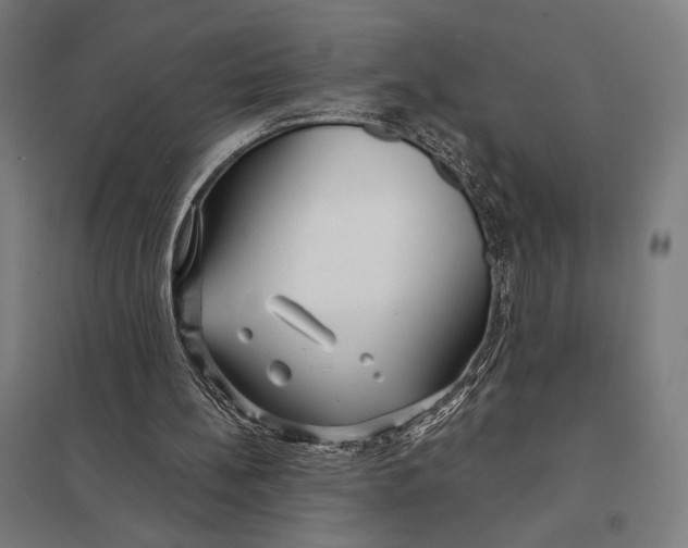 X0000097750148200803281618