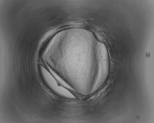 X0000097750149200803281618