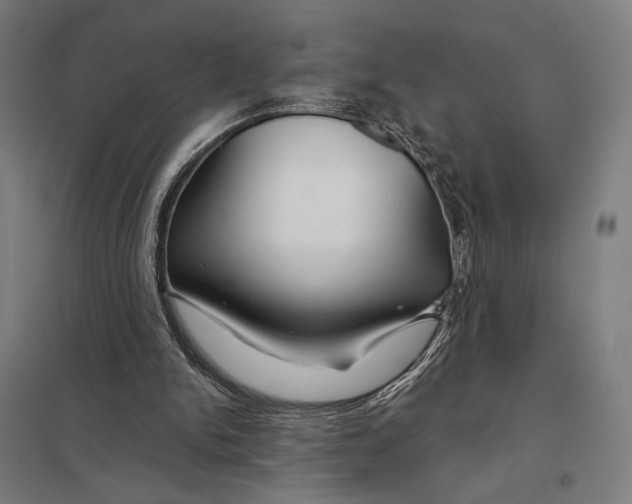 X0000097750150200803281618