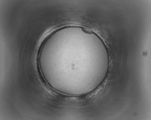 X0000097750151200803281618