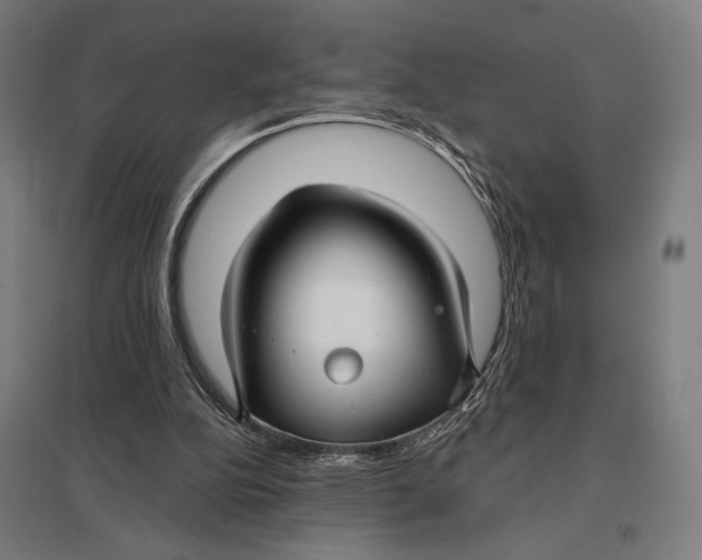 X0000097750152200803281618