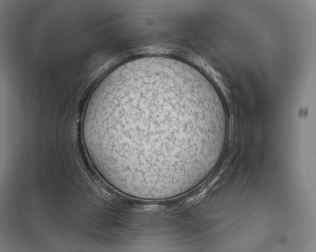 X0000097750153200803281618