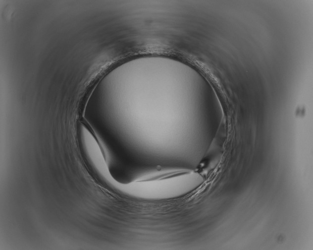 X0000097750154200803281618