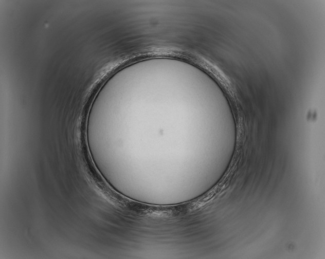 X0000097750155200803281618