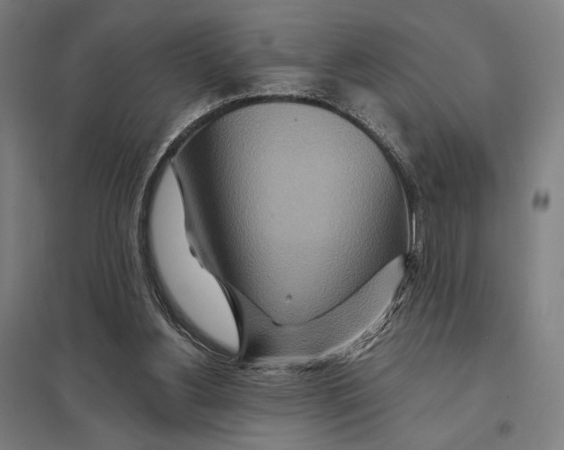 X0000097750156200803281618