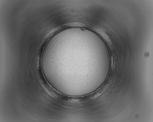 X0000097750157200803281618