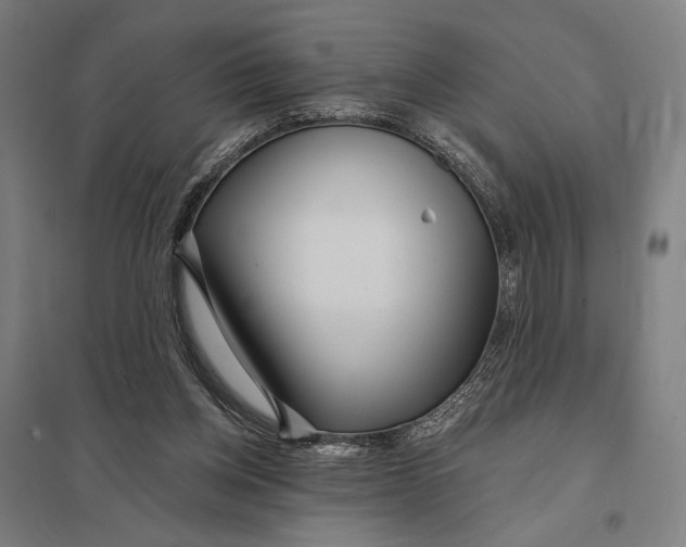 X0000097750158200803281618