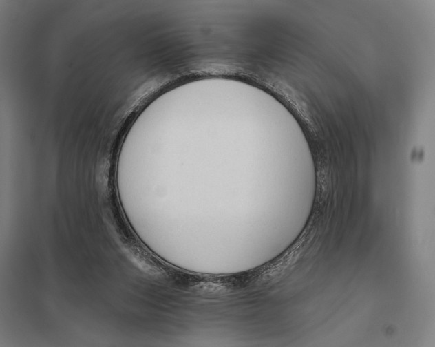 X0000097750159200803281618