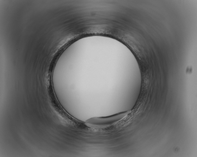 X0000097750160200803281618