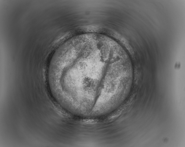 X0000097750161200803281618