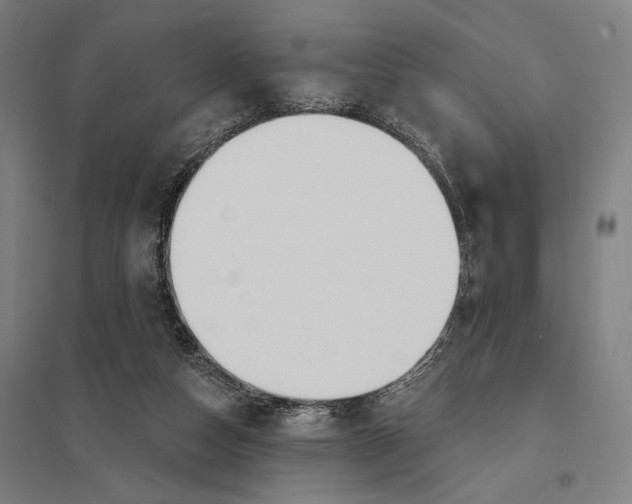 X0000097750162200803281618