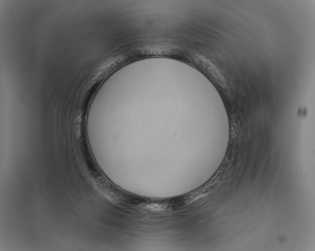 X0000097750163200803281618