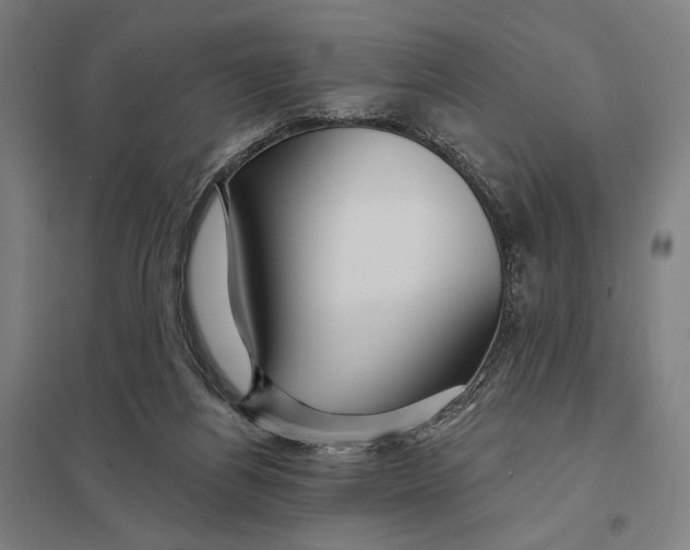 X0000097750164200803281618