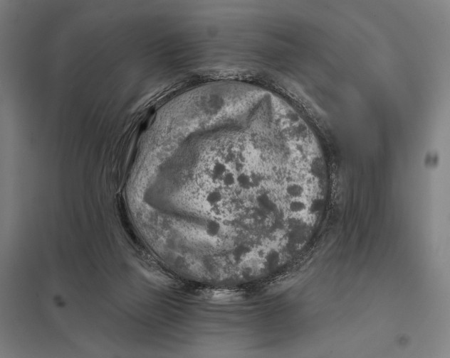 X0000097750165200803281618