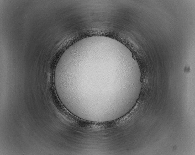 X0000097750166200803281618