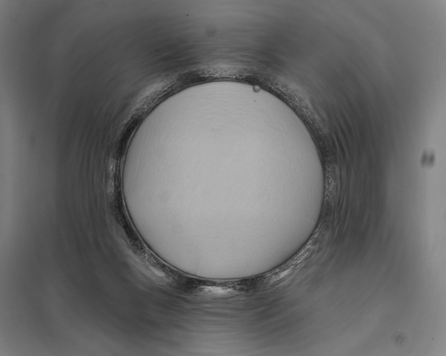 X0000097750167200803281618