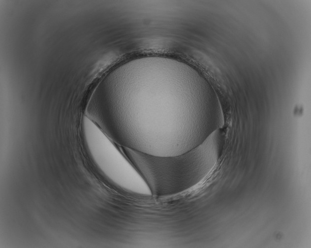 X0000097750168200803281618